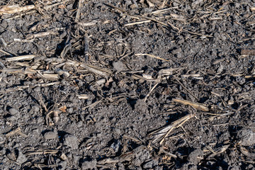 Soil with mineral fertilizer