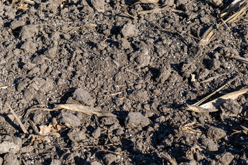 Soil with mineral fertilizer