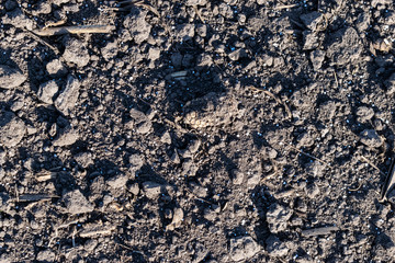 Soil with mineral fertilizer