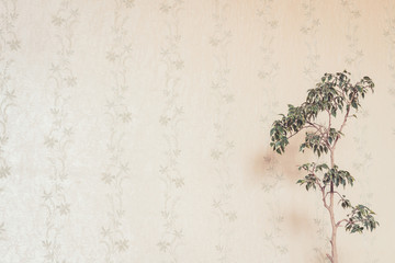 thin branches of lovely high houseplant with small green leaves against wall