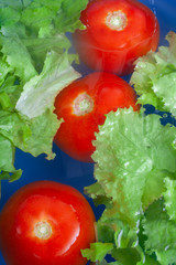 Three Tomatoes in Water With Lettuce