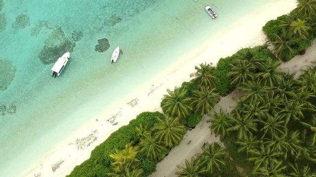 beautiful girl rides a bike around the island under palm trees, Maldives,  thoddoo island.