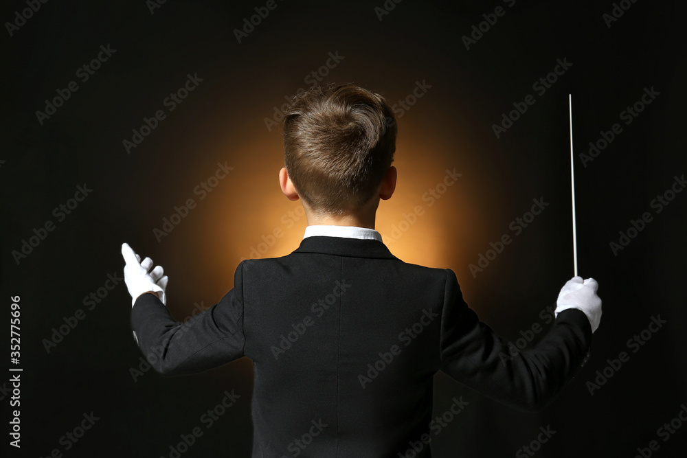 Canvas Prints Little conductor on dark background