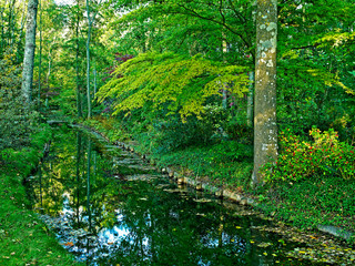Fototapeta na wymiar The peaceful and tranquil waterway in a French woodland garden in spring
