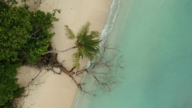 young beautiful woman lies on a tree on the beach, Maldives, Thoddoo island.