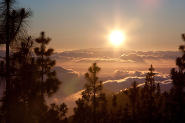 Teide National Park Sunset, Tenerife. The sun sets on the clouds over the horizon, silhouettes of pine trees.