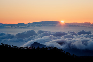 Teide National Park Sunset, Tenerife. The sun sets on the clouds over the horizon, silhouettes of pine trees.