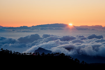 Teide National Park Sunset, Tenerife. The sun sets on the clouds over the horizon, silhouettes of pine trees.