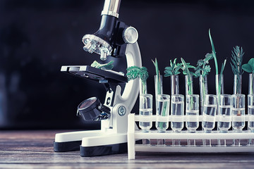 Microscope and test partings on the table in the laboratory.