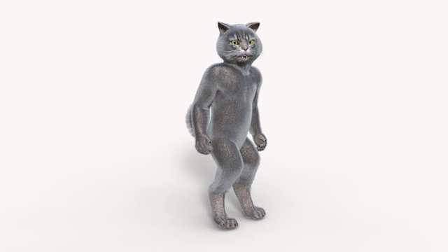 3D model gray cat steps, transparent background, animation,loop