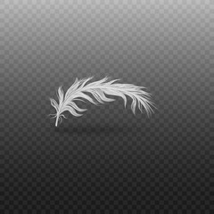 White bird fluffy feather with shadow 3d realistic vector illustration isolated.