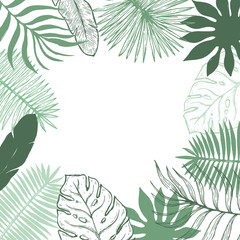 Naklejka premium Tropical plant leaf frame.Botanical floral element background.