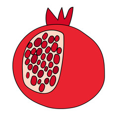 Pomegranate, fruit, vector isolated illustration on white background. Open sweet pomegranate with seeds. 