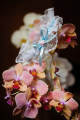 Bridal lace garter on a pink orchid flower
