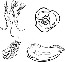 A set of vegetables, in a linear style. Black. Carrots, bell peppers, spinach, eggplant. Hand drawing. Vector graphics