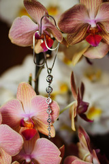 Silver necklace on a pink orchid flower