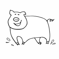 Stylized pig in a doodle style. Illustration of a funny pig. Farm animals.