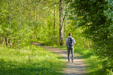 One young man with backpack walking on natural trail in green forest. Spending time alone in...