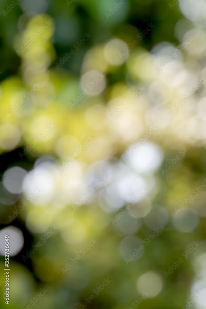 Poster beautiful abstract background photo of light burst and glitter bokeh lights. image is blurred and fi