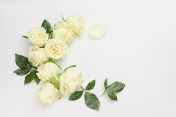 Fototapeta na wymiar Beautiful roses on white background