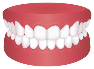 Teeth trouble ( bite type ) vector illustration /Normal Bite