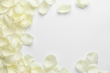 Beautiful rose petals on white background