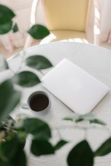A notebook with a cup of tea and plant on the table