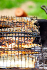 Grilled fish mackerel, cooked on the grill in the open air flow tasty and fresh food, picnic outdoor recreation. Barbeque in the garden in summer at home.