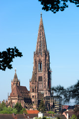 Fototapeta premium Freiburger Münster