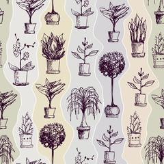 Houseplants seamless pattern. Vector image with hand draw pattern.