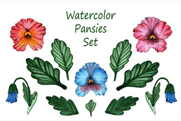 Watercolor set of red, blue and pink pansies with foliage. Illustration for greeting card, printing, wedding invitation, design. Floral design.