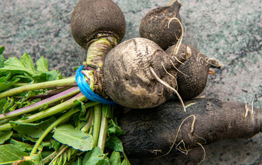 close up of organic raw black radish