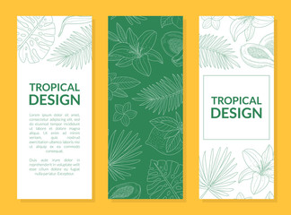 Tropical Design Banner Template with Hand Drawn Exotic Plants and Space for Text Can be Used for Cosmetics, Health Care Products, Spa, Perfume, Wedding Invitation Vector Illustration