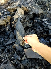 Coal