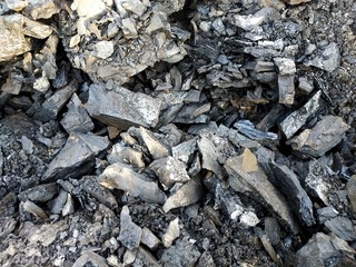 Coal