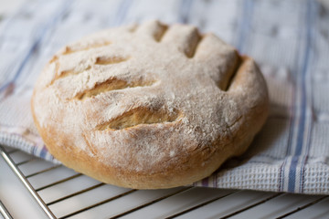 Homemade sourdough bread with a leaf pattern scored on. It is on a cooling rack and a kitchen towel