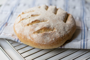 Homemade sourdough bread with a leaf pattern scored on. It is on a cooling rack and a kitchen towel