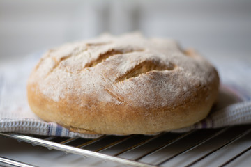 Homemade sourdough bread with a leaf pattern scored on. It is on a cooling rack and a kitchen towel