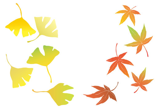 もみじ Images – Browse 188,722 Stock Photos, Vectors, and Video