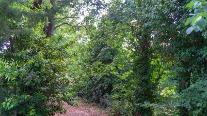 Immersi nella natura in primavera