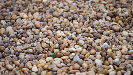 The walls made of many small stones were arranged artistically. Suitable for use as background images.