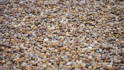 The walls made of many small stones were arranged artistically. Suitable for use as background images.