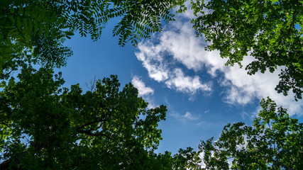 Cielo e nuvole sopra la natura in primavera