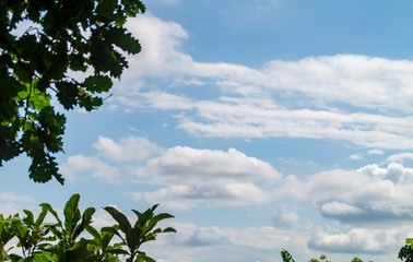 Cielo e nuvole sopra la natura in primavera