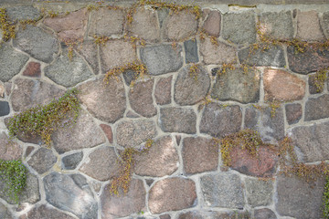 old wall with big rocks and plants as a background