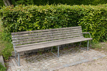 old bench with a bush behind it