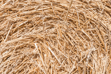 Hay background. Harvesting in agriculture.