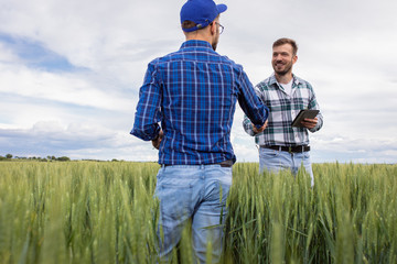 Naklejka na ściany i meble Two farmers making agreement with handshake in green wheat field.