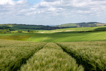 Fototapeta na wymiar A rural South Downs landscape on a sunny late spring day
