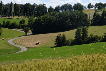 Salita in bicicletta